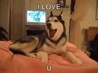 😍
