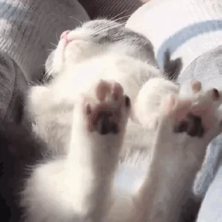😴