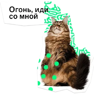😡