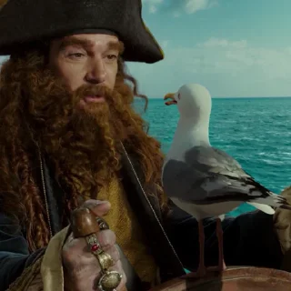 🏴‍☠️
