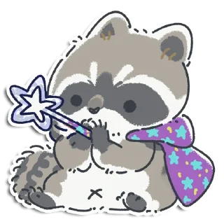 🦝