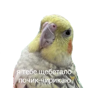 😡