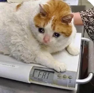 🥺