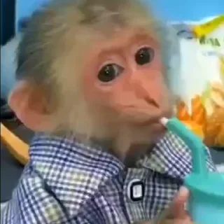 🥤