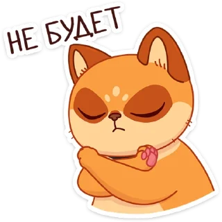 😾