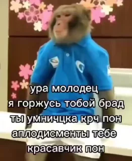🙌