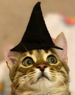 🔮