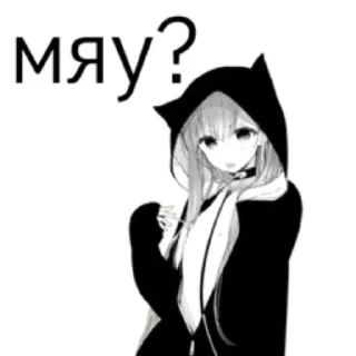 🐱