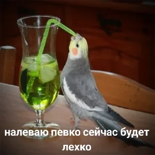 🍹