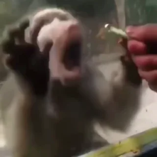 😮