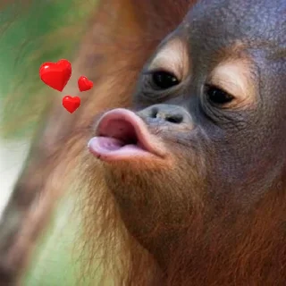😘