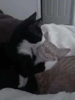 😘