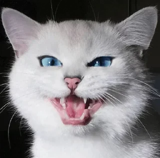 💙