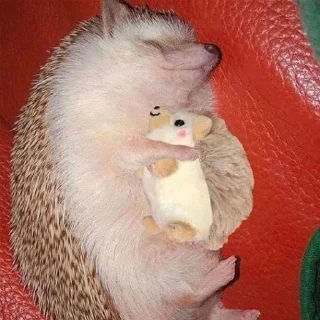 🦔