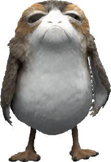 🐥