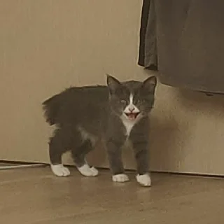 😃
