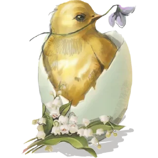 🐣