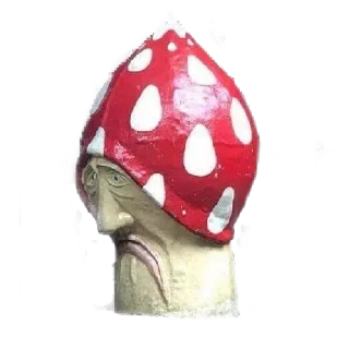 🍄