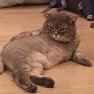 😙
