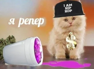 🟣