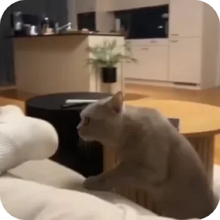 😳