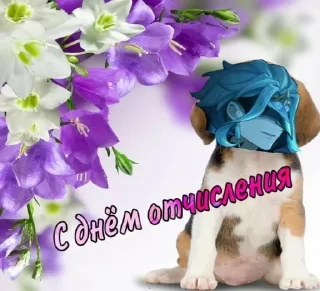 🥰