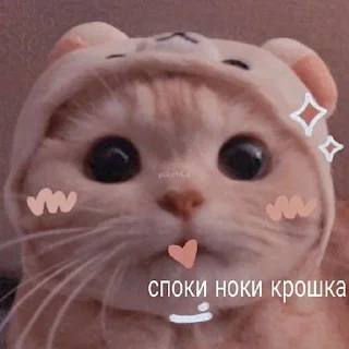 😴
