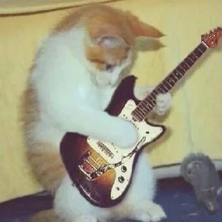 🤘