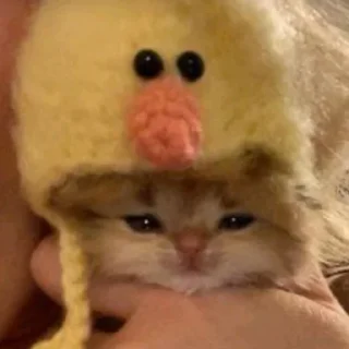 💘