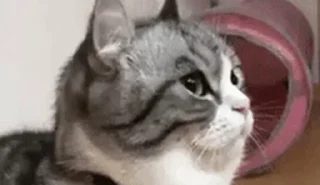 😌