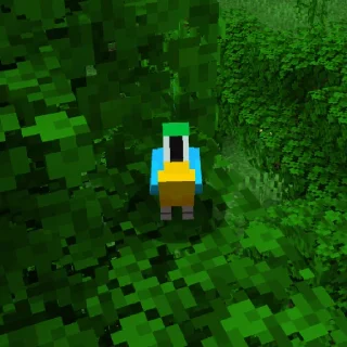 🦜