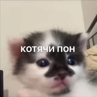 🤗