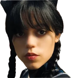 😼