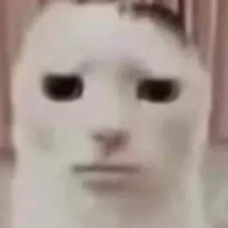 😐