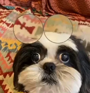 👀