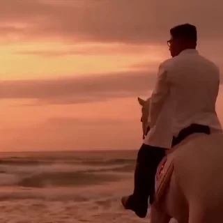 🐎