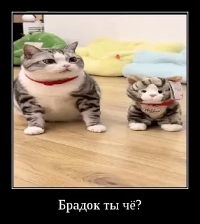 😳
