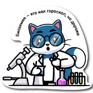 🔬