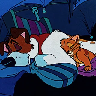😴