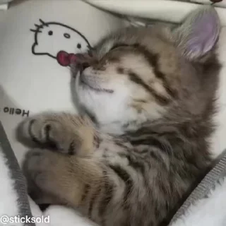 ❤️