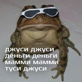 😎