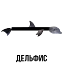 🐬