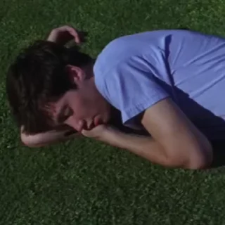 🐰