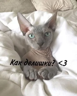😚