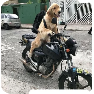 🏍