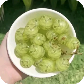🍲