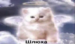 😇