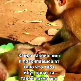 💀