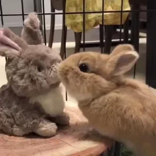 😚