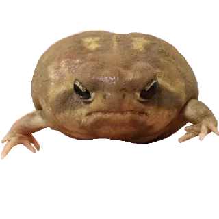 😡
